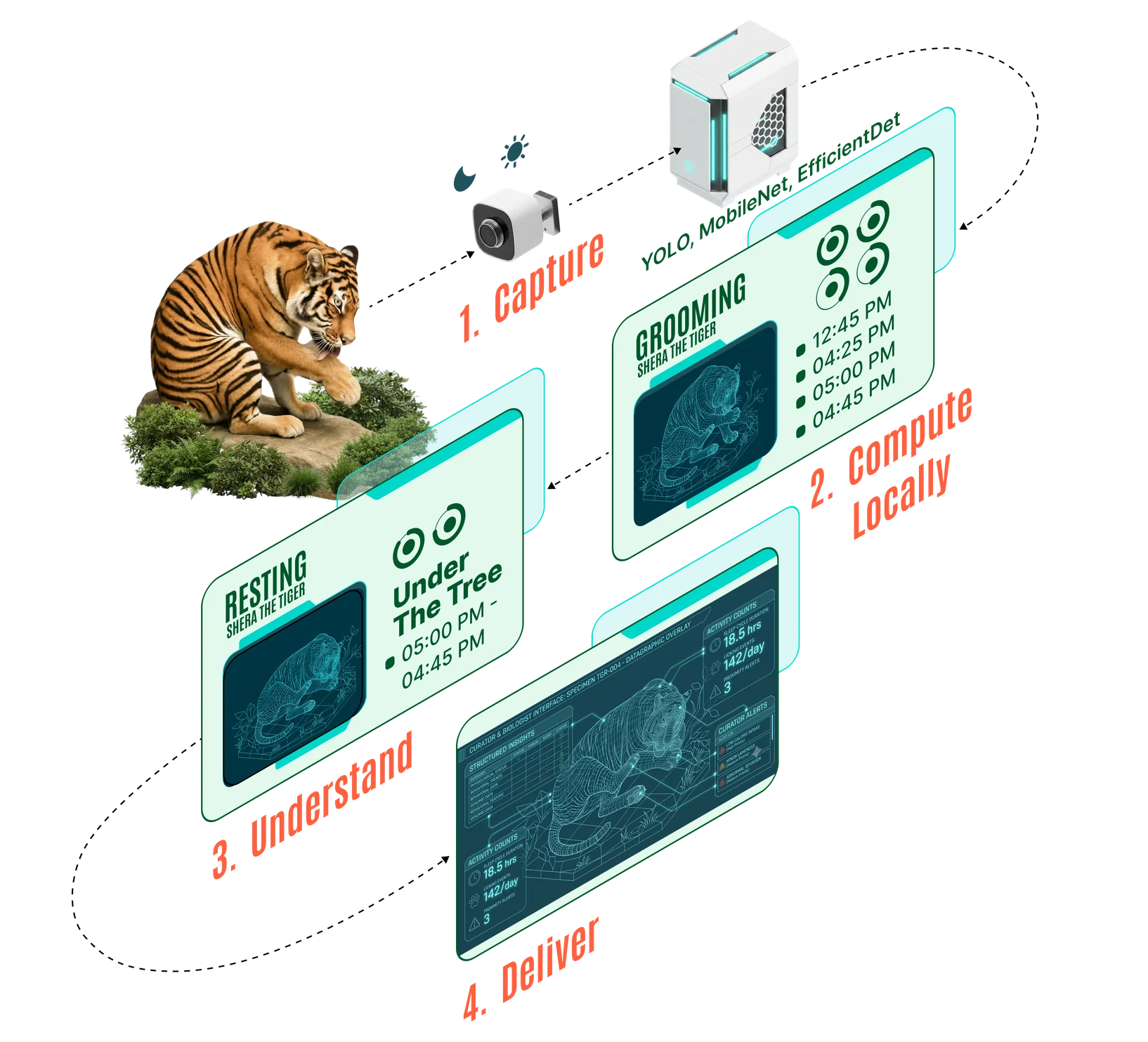 An isometric diagram: a camera captures a tiger, the device computes locally, behaviour is understood, and structured insight is delivered