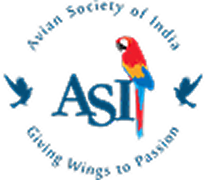 ASI